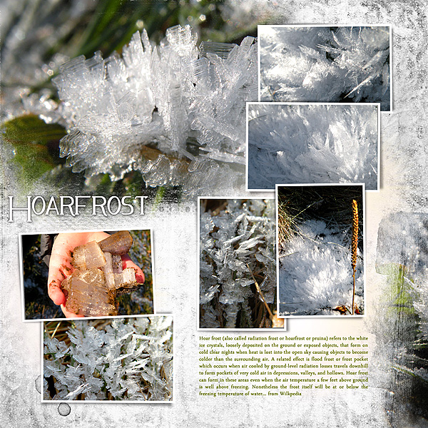 2012 Hoarfrost