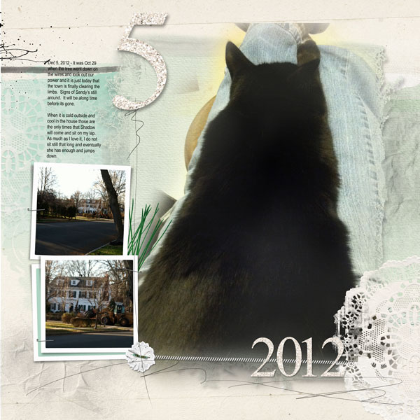 2012Dec5 Dec daily