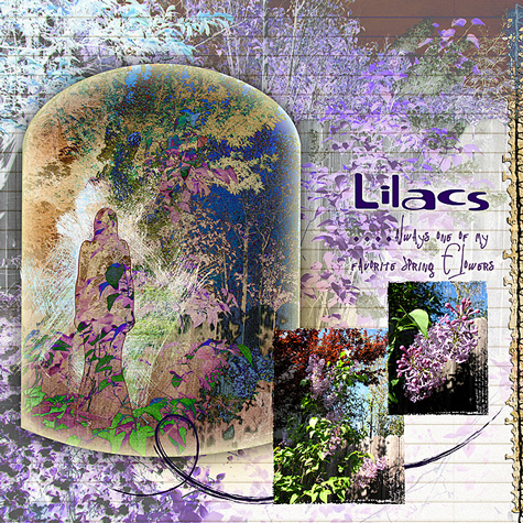 2013 Lilacs Val C Designer challenge