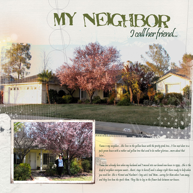 2013 My Neighbor Teana Challenge 2