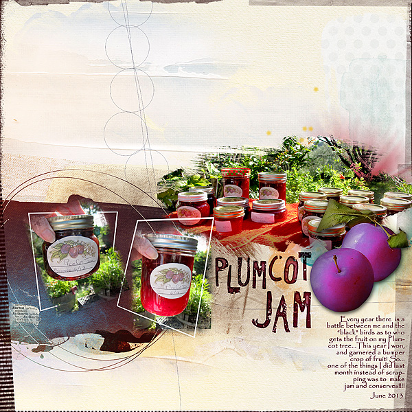 2013 Plumcot Jam anna Lift challenge