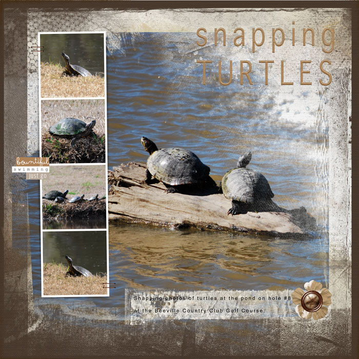 2014-01-Turtles