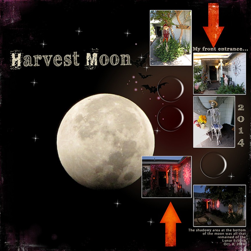 2014 Harvest Moon Challenge 2 copy cat