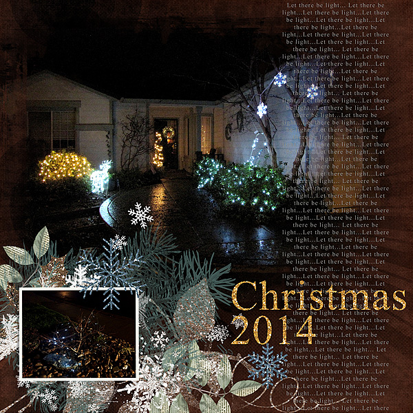 2014 My Outdoor Lights Challenge 3