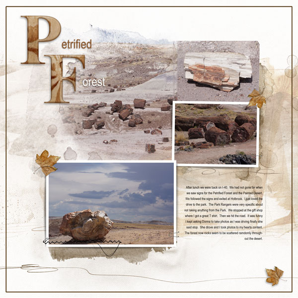 2014Jul11 Petrified Forest #2