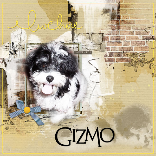 2014Nov Gizmo birthday challenge 7