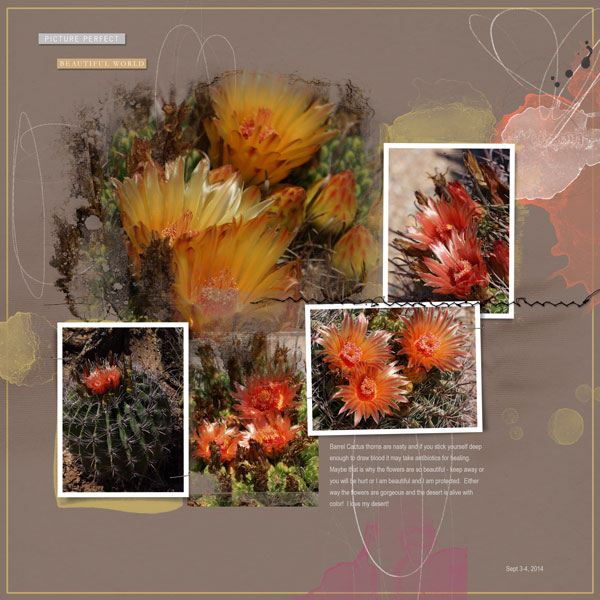 2014Sep3-4 Barrel Blooms pg2