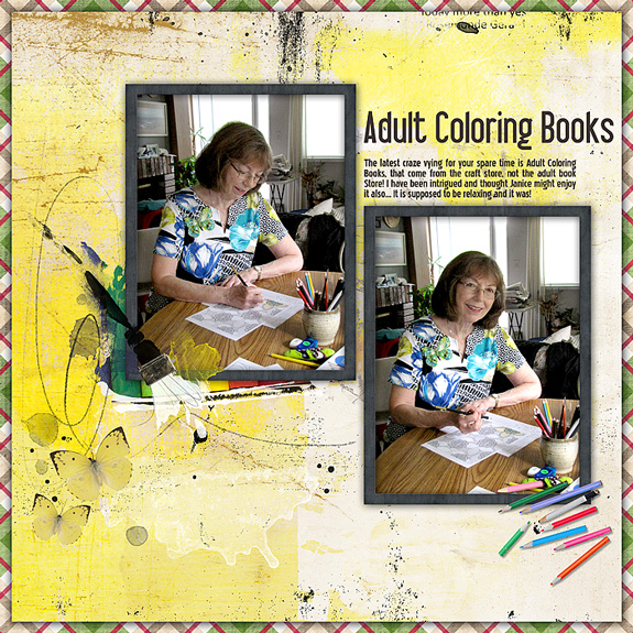 2015 Adult Coloring Books Anna Color Challenge