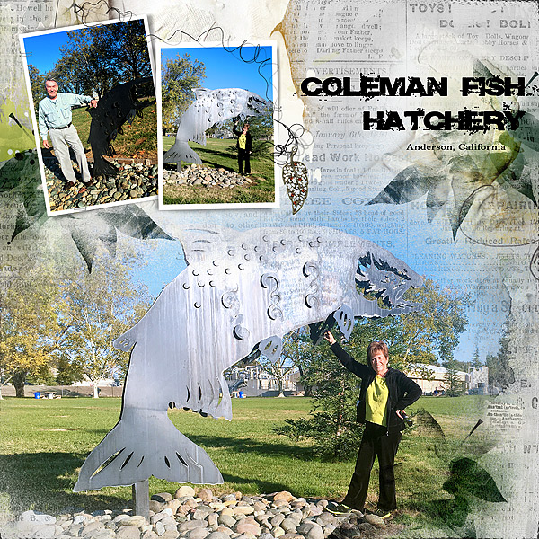 2015 Coleman Fish Hatchery Anna lift