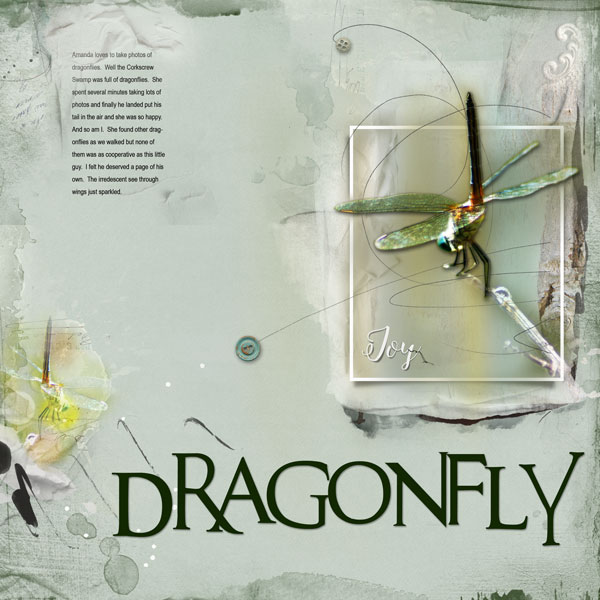 2015Apr10 dragonfly  Anna lift