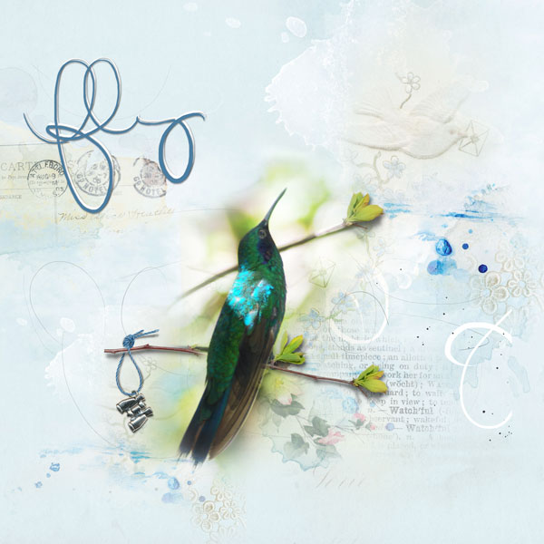 2015Apr11 fly