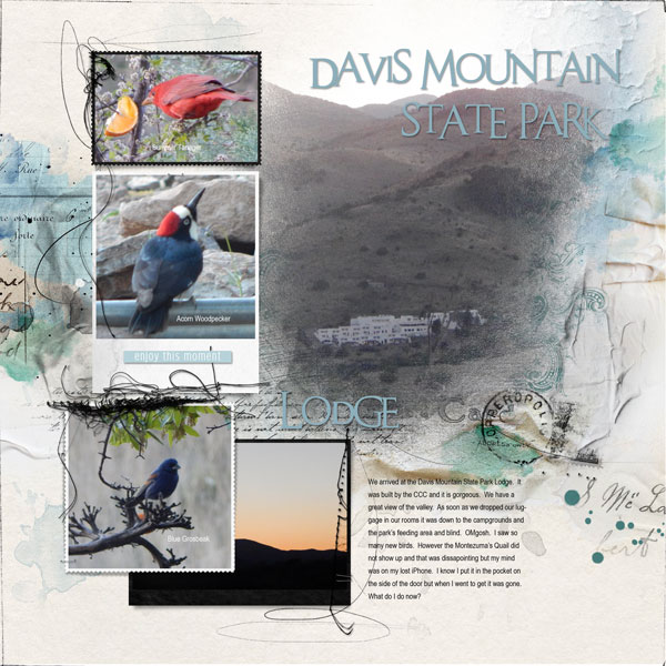 2015Apr28 Davis Mt LS