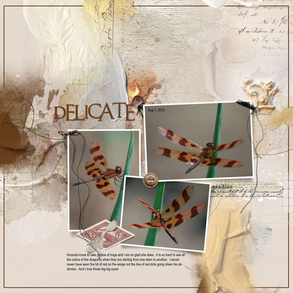 2015Aug1 delicate