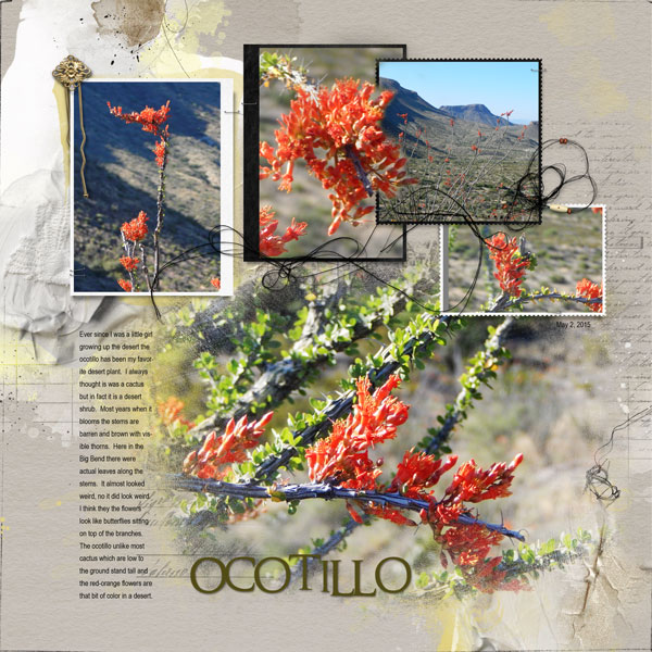 2015May2 Ocotillo