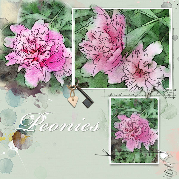 2015May31 peonies Anna lift