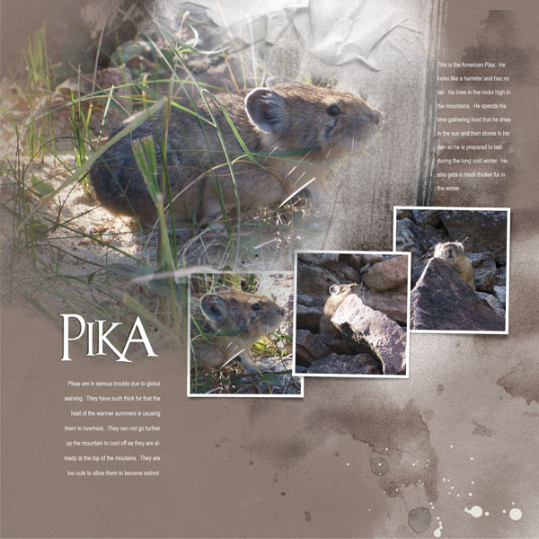 2015Sep9 Pika