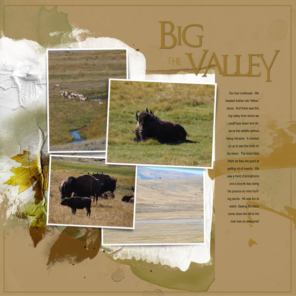 2015Sep9 the big valley