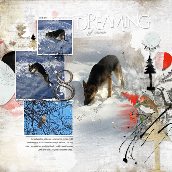 2016Dec8 dreaming