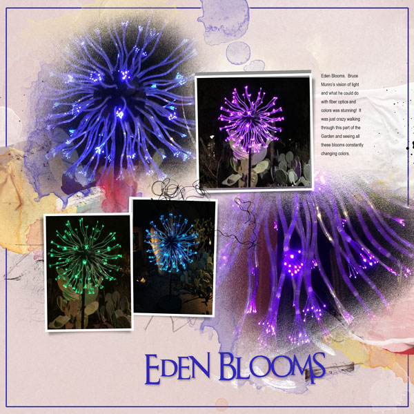 2016Jan16 Eden blooms l