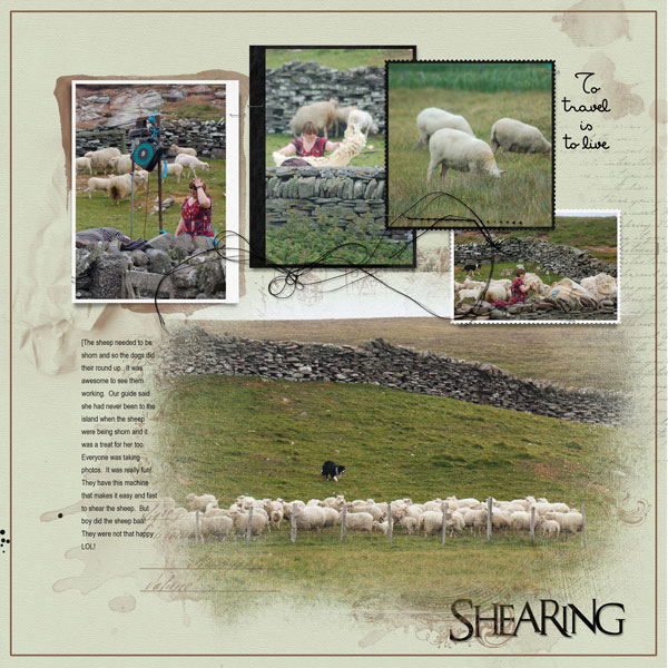 2016Jun23 shearing