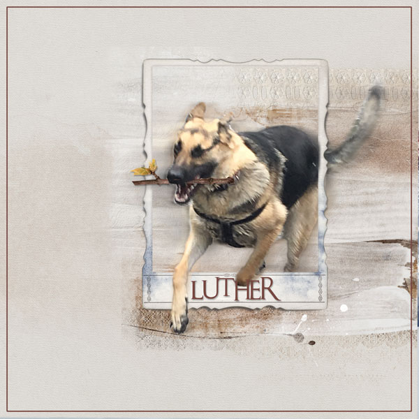 2016May Luther