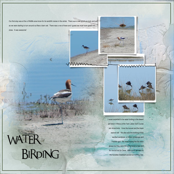 2016May7 water birding