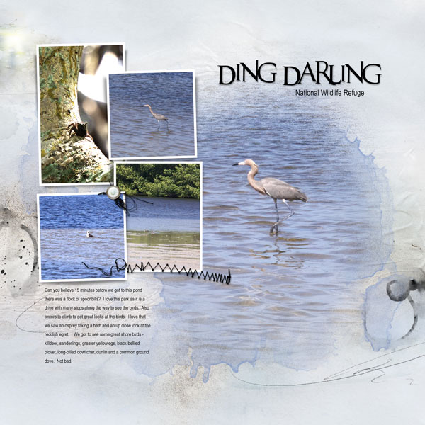 2017Apr30 Ding Darling