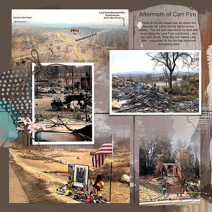 2018 Carr Fire aftermath anna color challenge