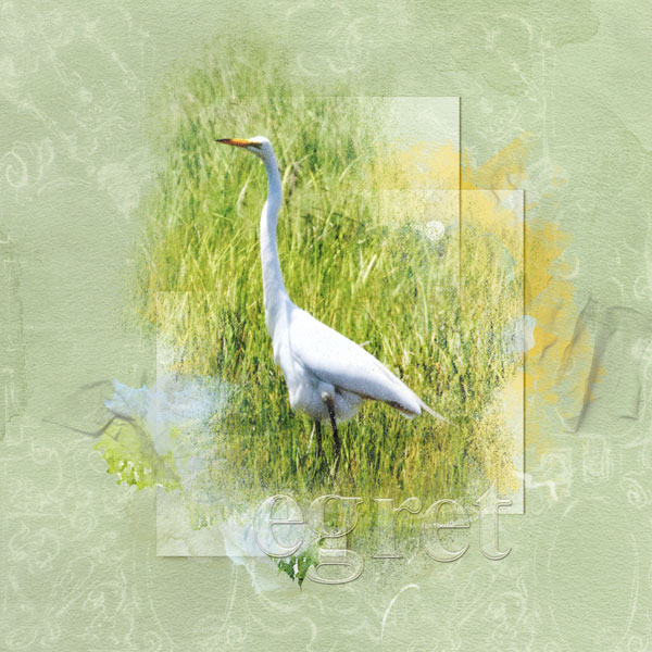 2018Jul12 egret