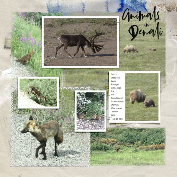 2019Jul21 animals in Denali