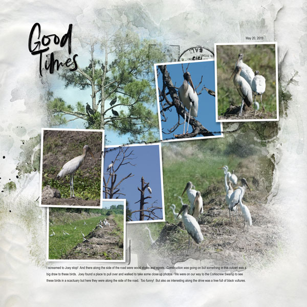 2019May21 storks