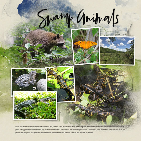 2019May21 swamp animals