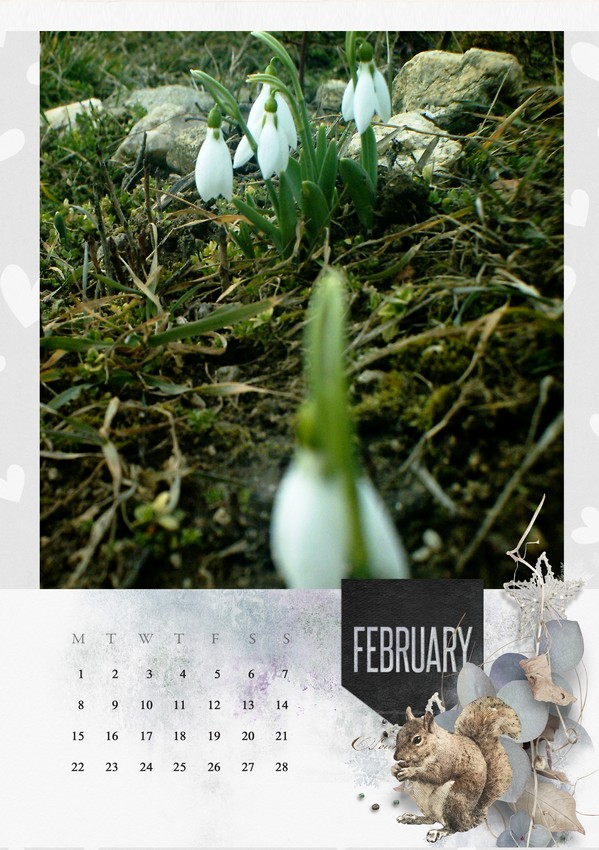 2021 template Calendar ~ February