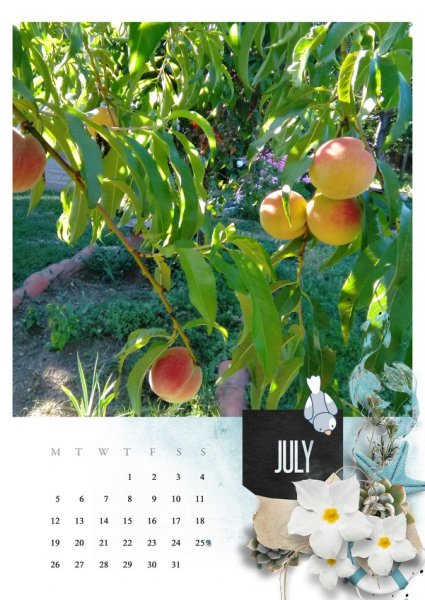 2021 template Calendar ~  July