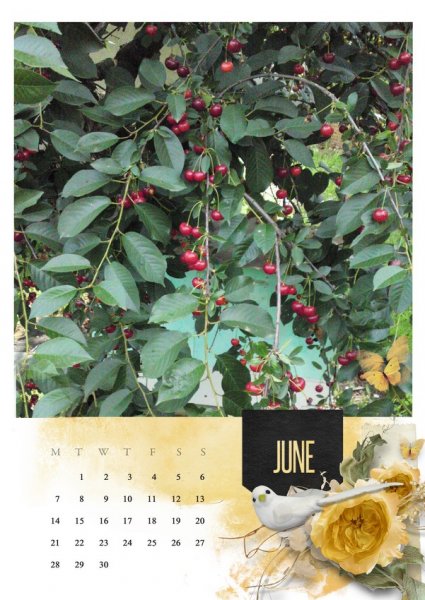 2021 template Calendar ~ June