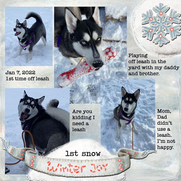 2022-01-07-Myla-first-snow.jpg