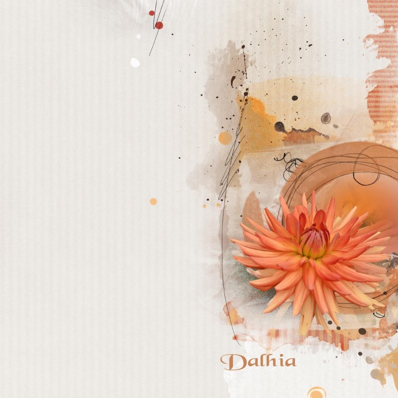 2023.10 Dahlia.jpg