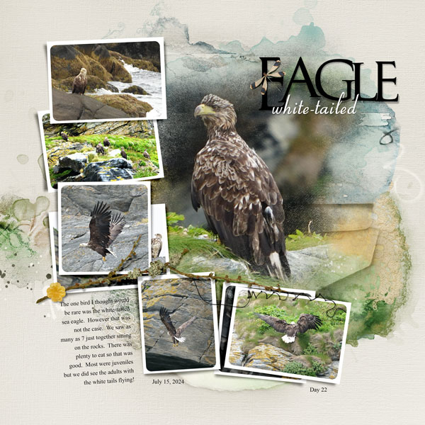 2024Jul15-eagle-web.jpg