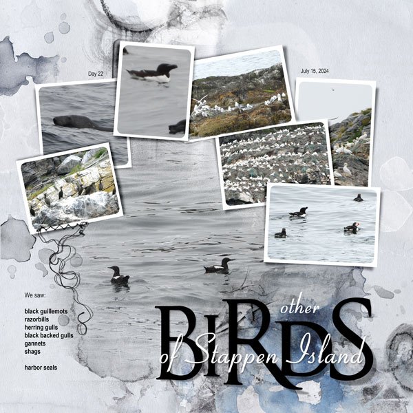 2024July15-Stapen-birds-web.jpg