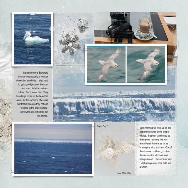 2024Jun29-30-icebergs-pg2-web.jpg