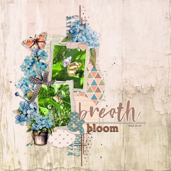 2025-03-07_Breath&Bloom