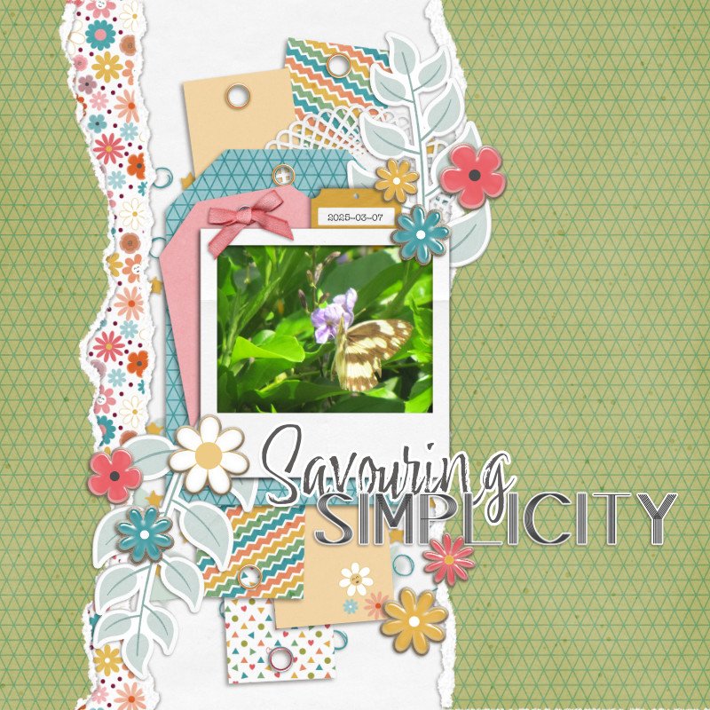 2025-03-07_SavouringSimplicity