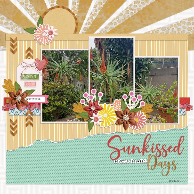 2025-05-15_SunkissedDays