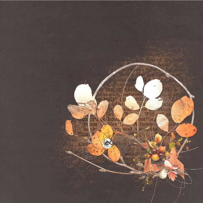 2025.10 automneorange.jpg