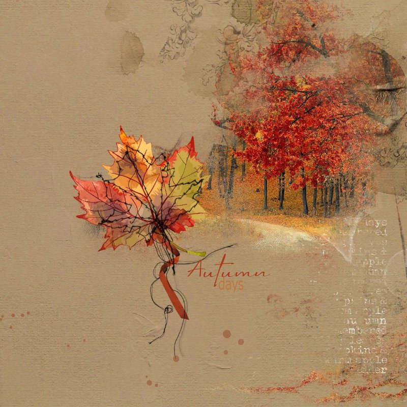 2025.11 AnnaLift 11.21.12.05.2025.jpg