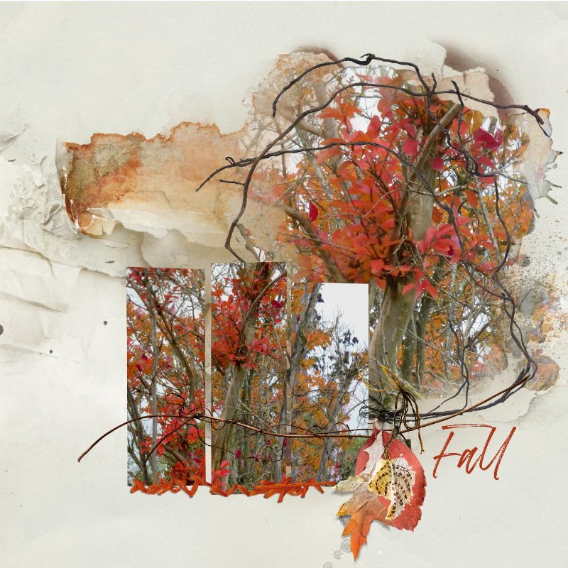 2025.11 AnnaLift.2  11.21.12.05.2025.jpg