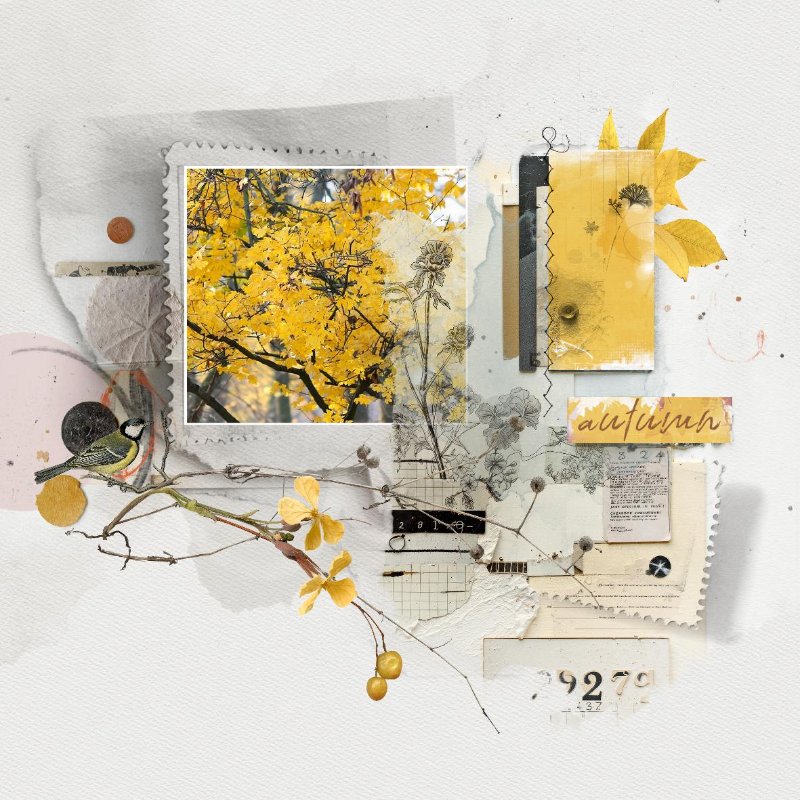 2025.11 Automne jaune.jpg