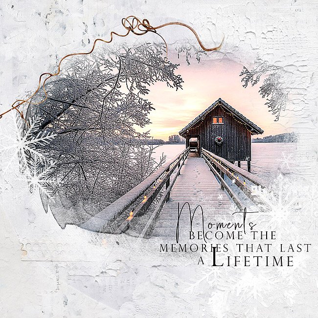 2025-Day 9 only-one-photo version 2.jpg