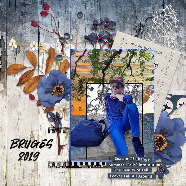 2025 OS November #5 Creative Photo Editing