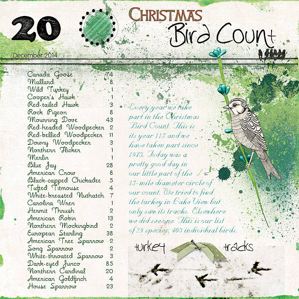 20th of December - Christmas Bird Count